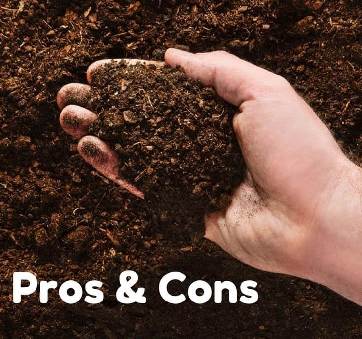 Potting Soil vs. Garden Soil: What's the Difference?