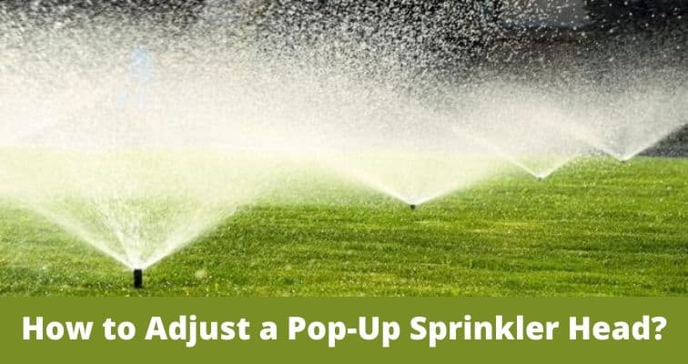 How to Adjust a Pop-Up Sprinkler Head? - Complete Guide - Igra World